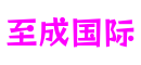 广东省东莞市至成国际电子游戏有限公司